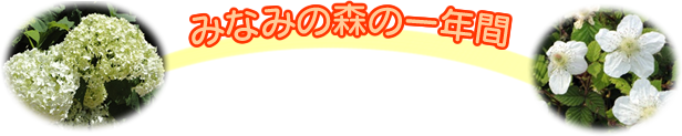 みなみっこの１ねんかん