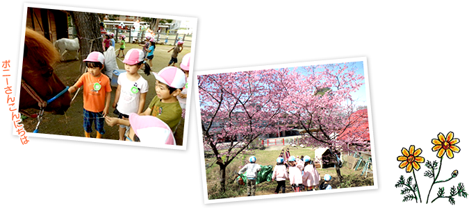 ポニーさんこんにちは